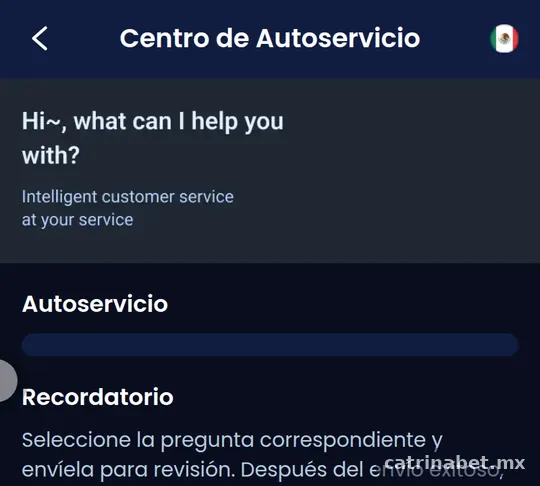 Centro de Autoservicio de CatrinaBet con soporte y consulta de progreso
